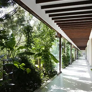 The Lifeco Bodrum Well-being Detox Center&vegan 3* غولتوركبوكو